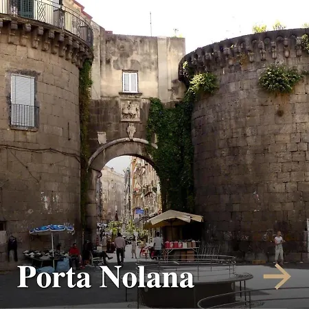 Passion Daire Napoli